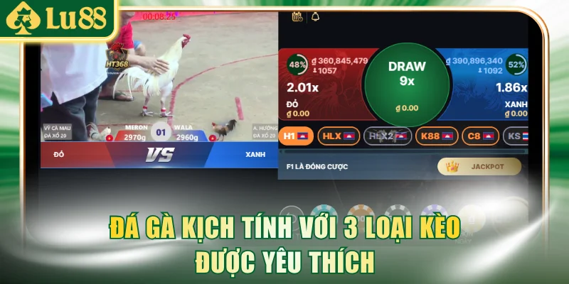 Đá gà kịch tính với 3 loại kèo được yêu thích